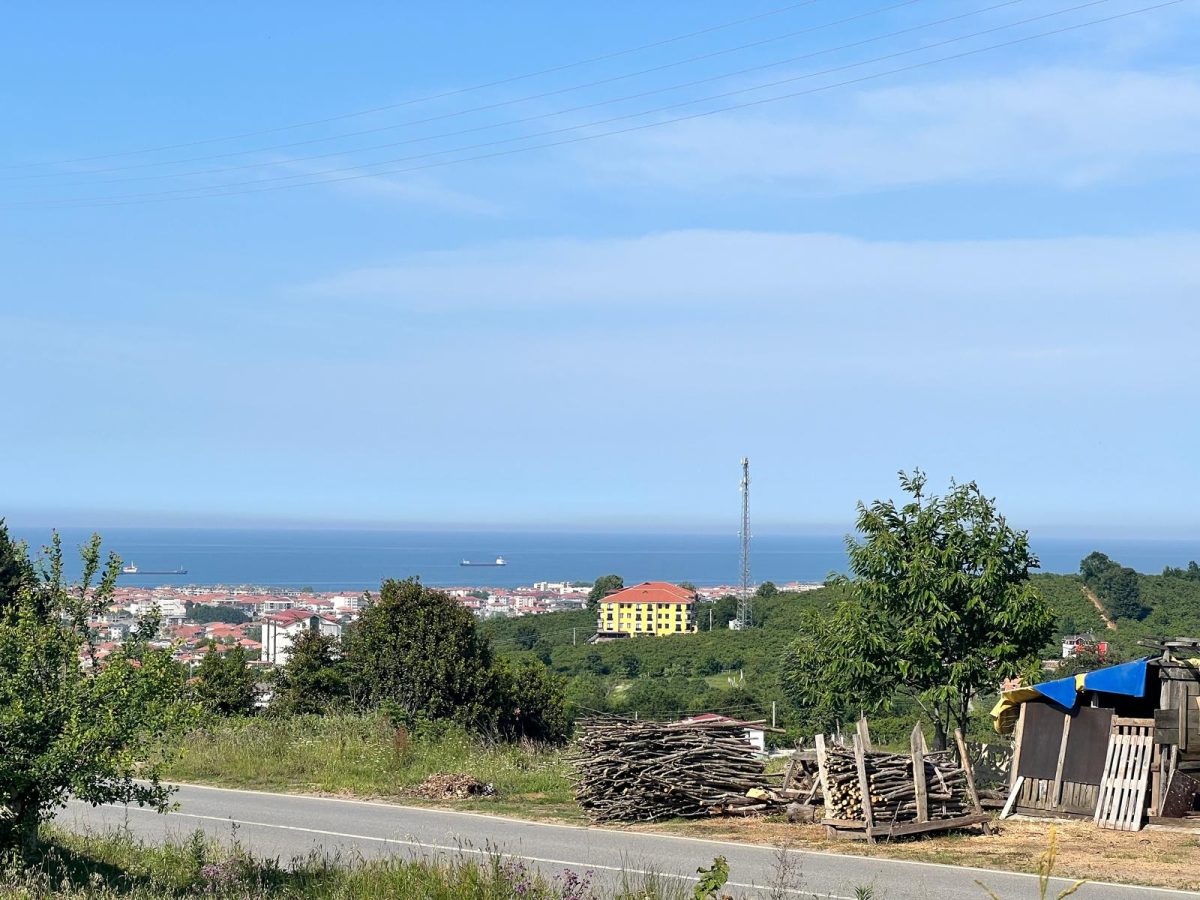 FIRTINA KONAKLARI